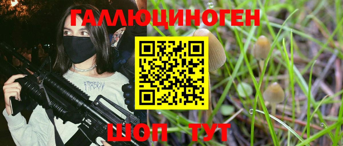 Псилоцибиновые грибы GOLDEN TEACHER  Вход с VPN  Геленджик 